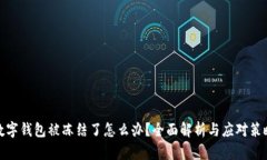 数字钱包被冻结了怎么办？全面解析与应对策略