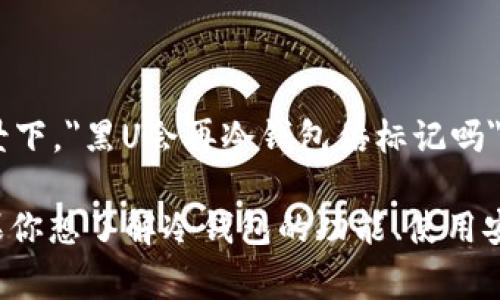 黑U（Black U）就是一种针对虚拟货币的硬件钱包，通常用于存储和管理加密货币。在这种背景下，