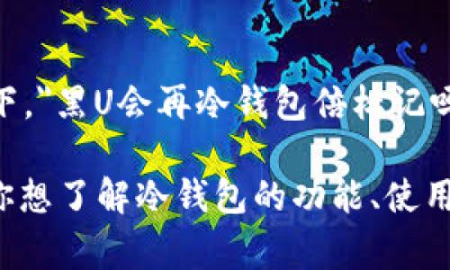 黑U（Black U）就是一种针对虚拟货币的硬件钱包，通常用于存储和管理加密货币。在这种背景下，