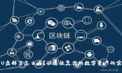 冷钱包U盘掉了怎么办？快速恢复你的数字资产的