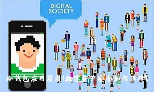 冷钱包应用崩溃！数字资产安全如何保障？