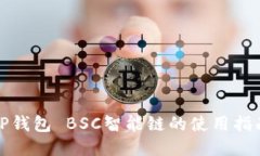 TP钱包 BSC智能链的使用指南