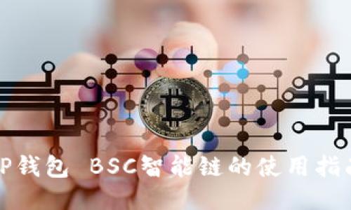 TP钱包 BSC智能链的使用指南