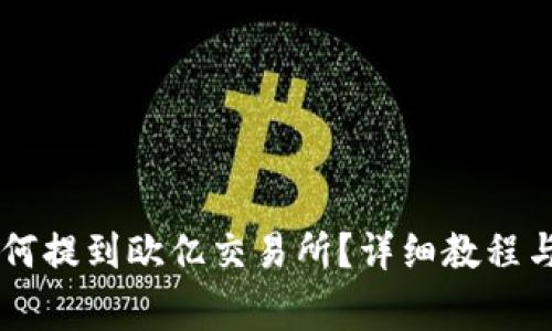 T P钱包的U如何提到欧亿交易所？详细教程与常见问题解答