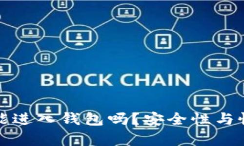 助记词错误真的能进入钱包吗？安全性与恢复方式全面解析