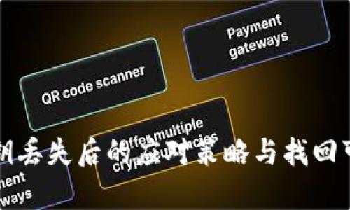 TP钱包密钥丢失后的应对策略与找回可能性分析