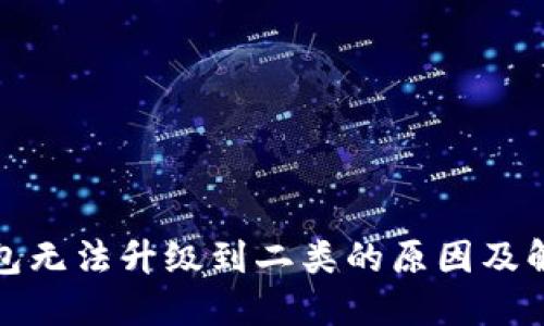 数字钱包无法升级到二类的原因及解决方案