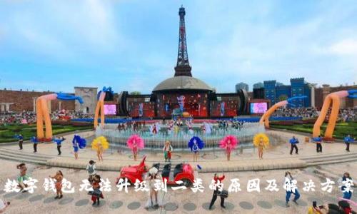 数字钱包无法升级到二类的原因及解决方案