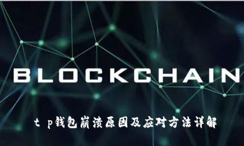  t p钱包崩溃原因及应对方法详解