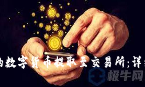 如何将TP钱包里的数字货币提取至交易所：详细步骤与注意事项