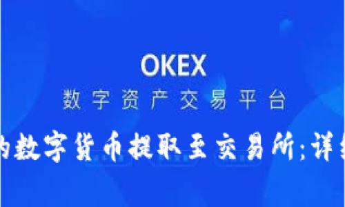 如何将TP钱包里的数字货币提取至交易所：详细步骤与注意事项