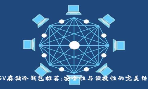 BSV存储冷钱包推荐:安全性与便捷性的完美结合