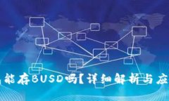 冷钱包能存BUSD吗？详细解析与应用指南