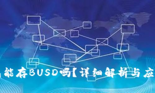 冷钱包能存BUSD吗?详细解析与应用指南