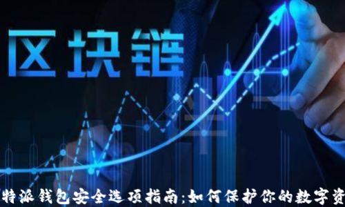 
比特派钱包安全选项指南：如何保护你的数字资产