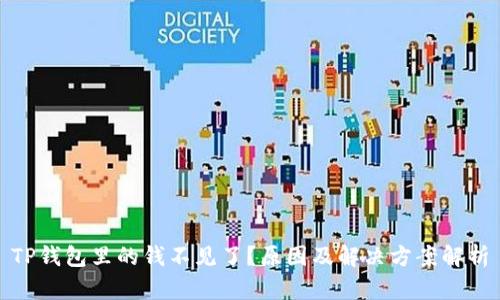 TP钱包里的钱不见了？原因及解决方案解析