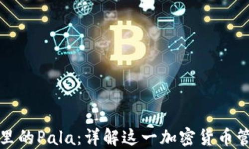 
冷钱包里的Pala：详解这一加密货币管理工具
