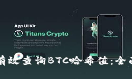 如何有效查询BTC哈希值:全面指南